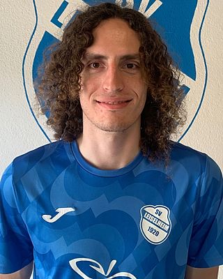 Niklas Schmidt