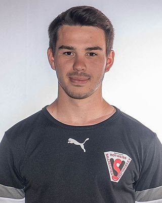 Gregor Spath