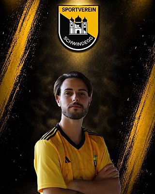 Michele D'Amico