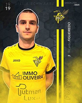 Ricardo Pedro Figueiredo