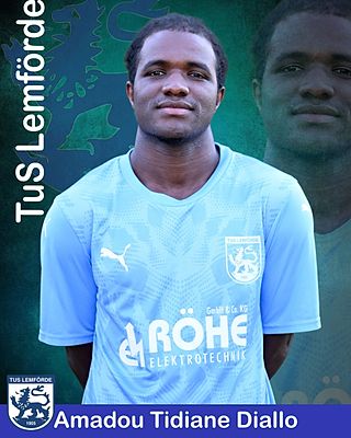 Amadou Tidiane Diallo