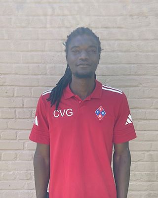 Cheikhou Vieux Goudiaby