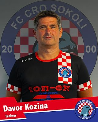 Davor Kozina