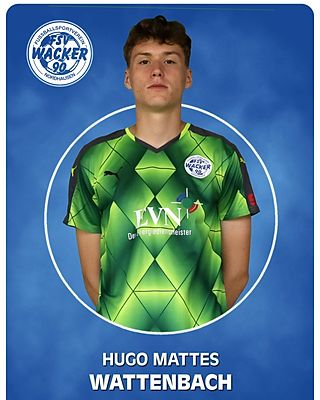 Hugo Mattes Wattenbach