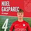 Noel Gasparec