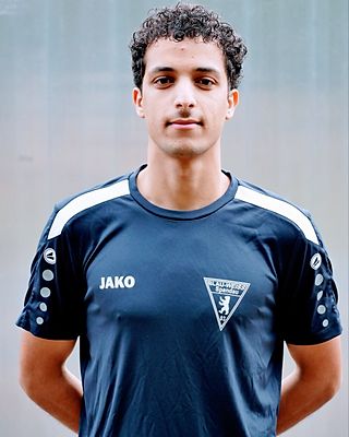 Ayham Alselwi