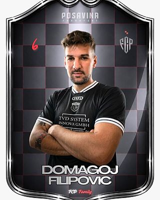 Domagoj Filipovic