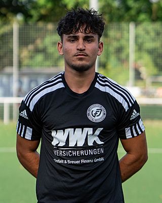 Samin Soleimankhani