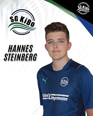 Hannes Steinberg