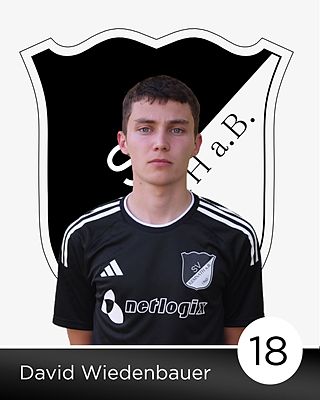 David Wiedenbauer