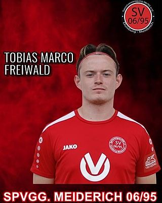 Tobias Marco Freiwald