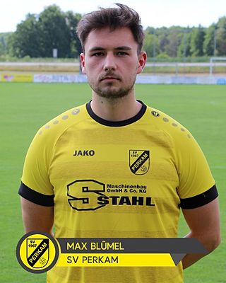 Max Blümel