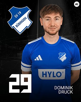 Dominik Druck