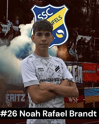 Noah Rafael Brandt