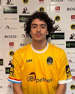 Lenny Enterria Gomes