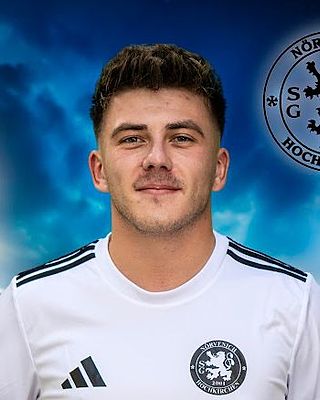 Henrik Große-Allermann