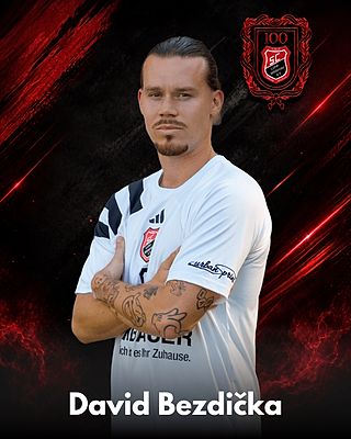 David Bezdicka
