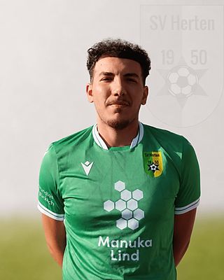 Arda Kaya