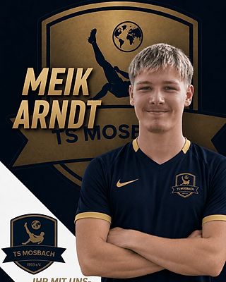 Meik Arndt