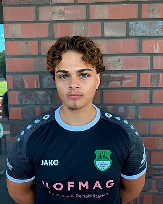 Jannis Falk