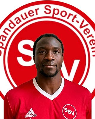 Alexandre Adio Song Bilong