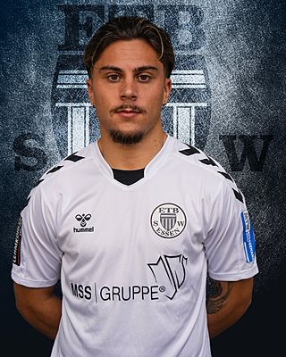 Elefterios Theocharis