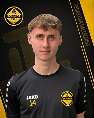 Sebastian Hallmanns