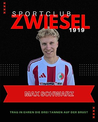 Max Schwarz