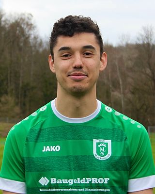 Jan Heckmann