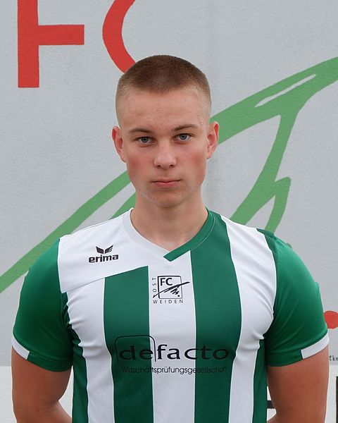 Vid Mrkonijc