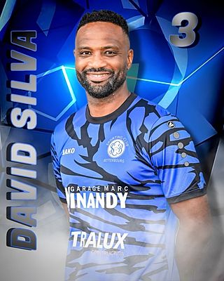 David Mendes Da Silva