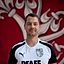 Dennis Domjanic