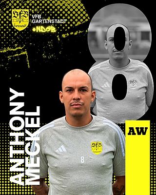 Anthony Meckel