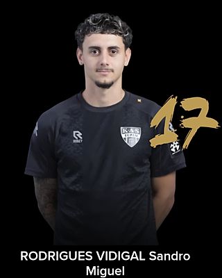 Sandro Vidigal