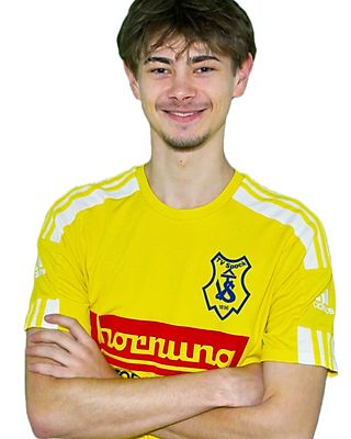 Tim Möser