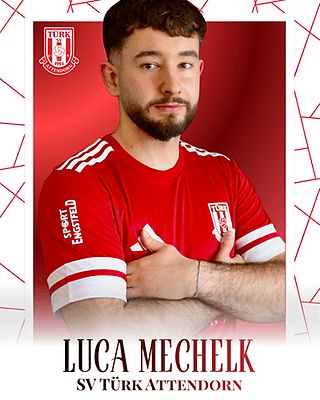 Luca Enrico Mechelk