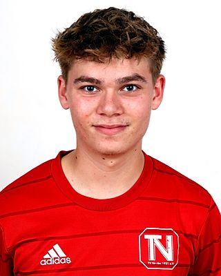 Johannes Handschuh