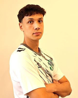 Leonidas Theodoros Altstaedten