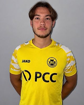 Viacheslav Hrebniev