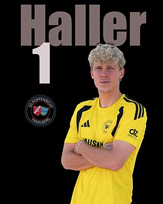 Tim Haller