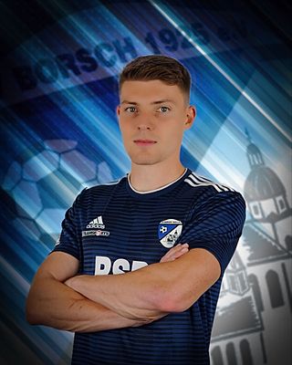Hannes Bauer