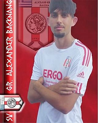 Vasilios Chrisostomidis