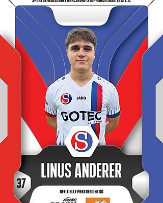 Linus Dominik Anderer