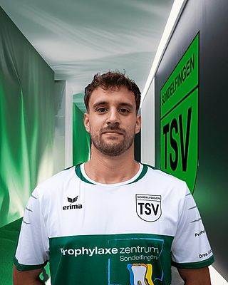 Telmo Crespo Rodrigues