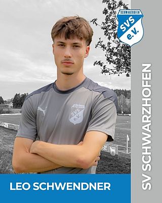 Leo Schwendner