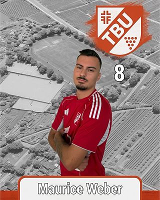 Maurice Weber