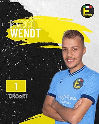 Marco Wendt