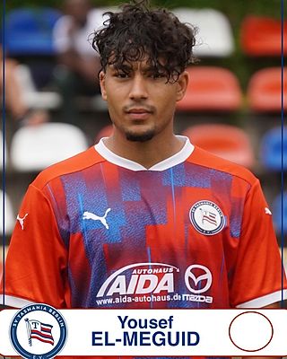 Yousef El-Meguid