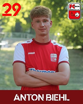 Anton Biehl