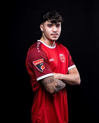 Luis Damasio Ribeiro